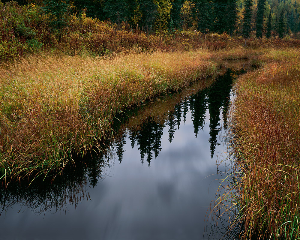 Autumn Pond