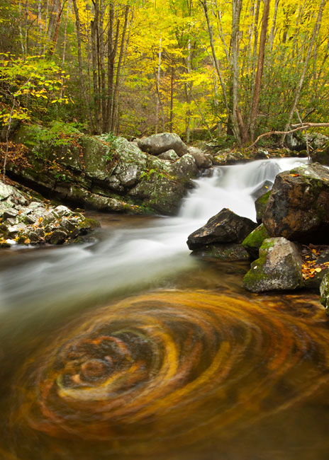 Lynn Camp Prong, GSMNP
