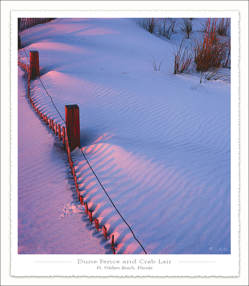 Dune Fence and Crab Lair