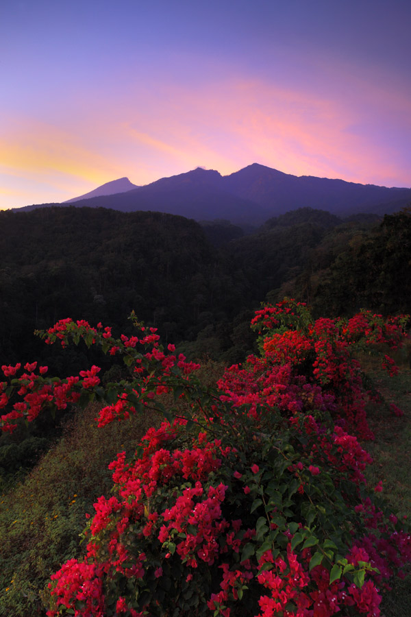 Sunrise at Rinjani