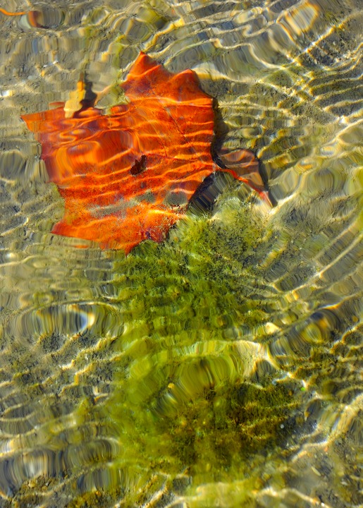 Light on Water