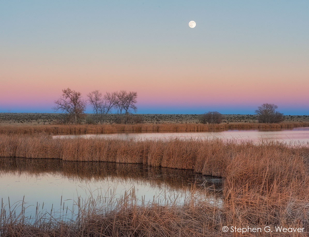 Moon over Rose Pond