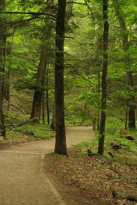 A Walk InThe Park