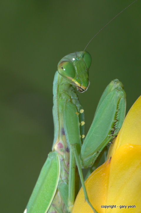 Are you talking to me?