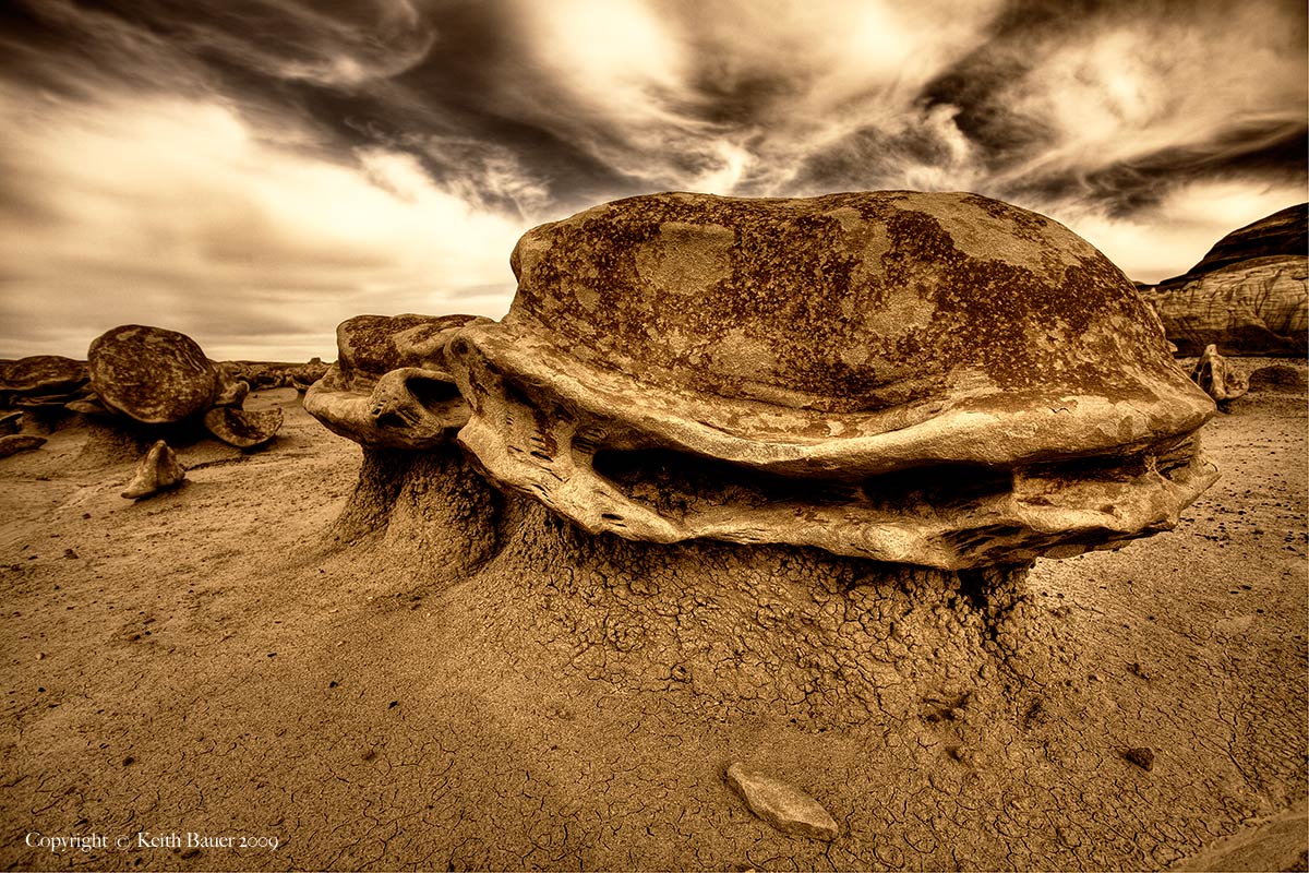 Bisti Egg Factory