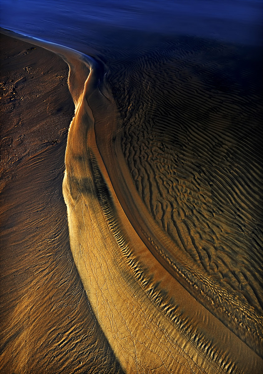 Sandsnake