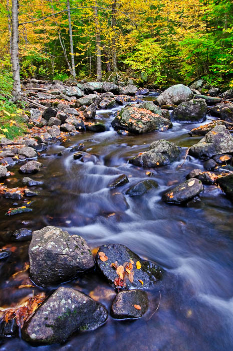 Adirondack Stream