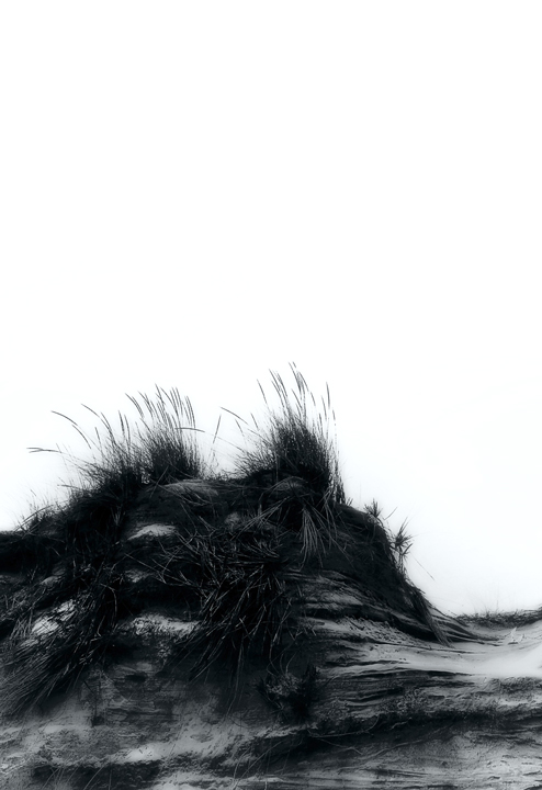 Blowout, study