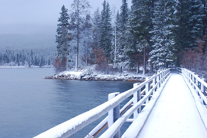 Winter Solitude
