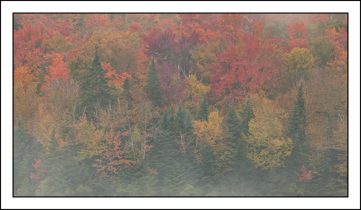 Heart Lake Tapestry +repost
