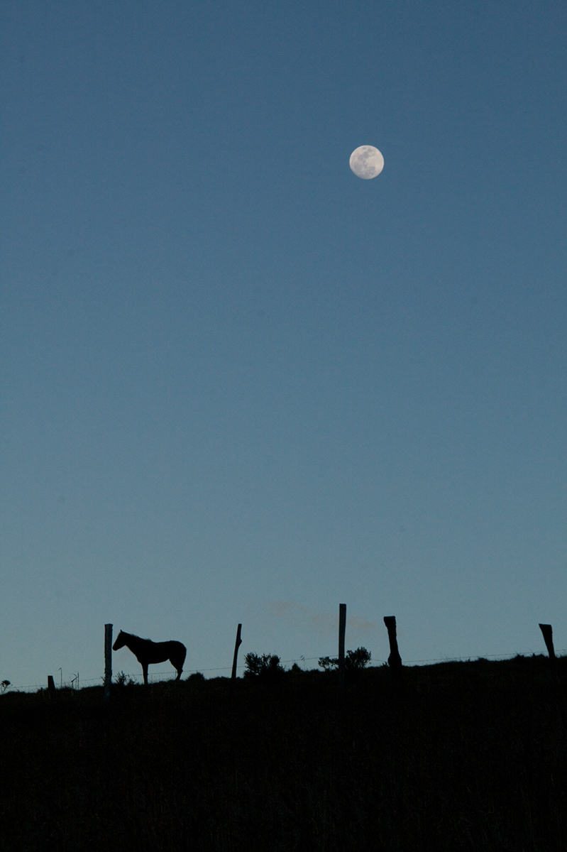 Moonrse in Cotopaxi