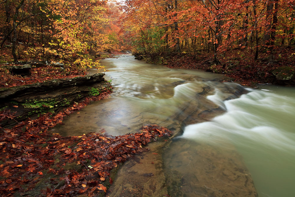 An Autumn Afternoon
