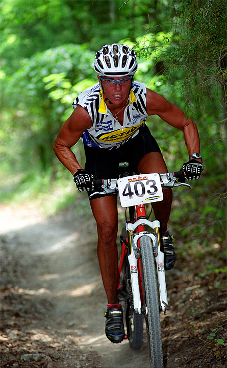 Forest Rider