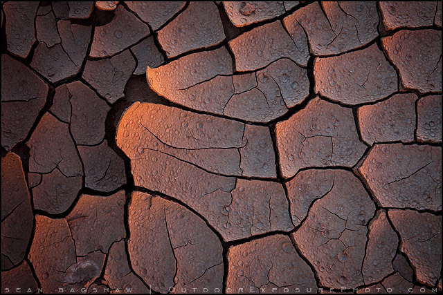 Peeling The Moon