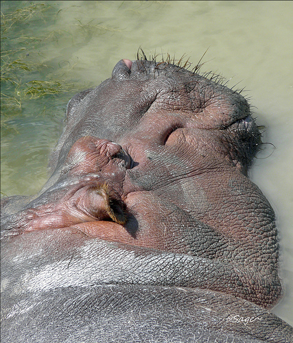 ~Wet Dreams~