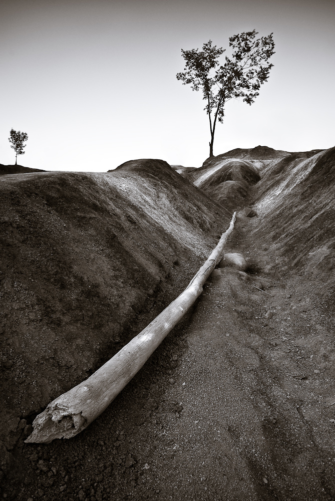 WC 407 – Fallen
