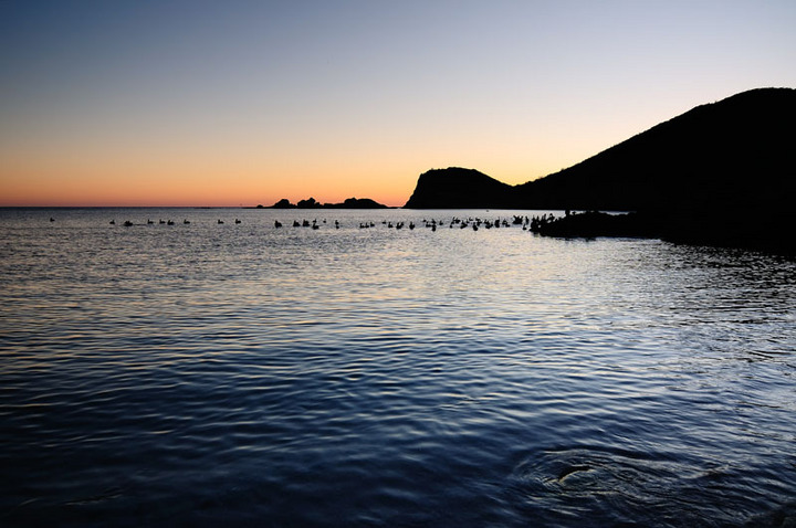 Sunset San Carlos