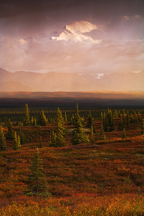 Taiga storm light