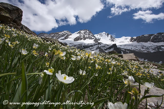 Gran Paradiso