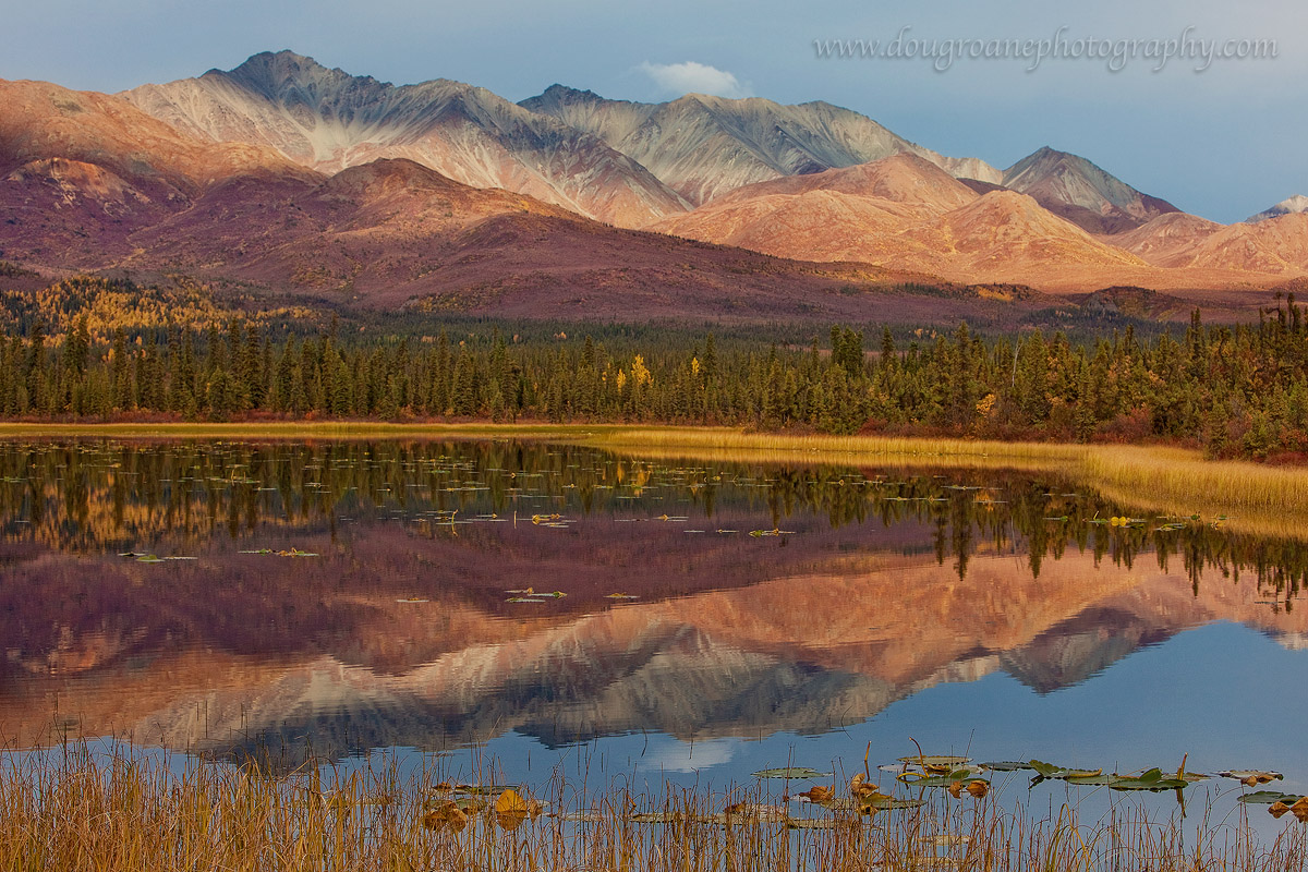 Alaskan Fall Reflections +repost