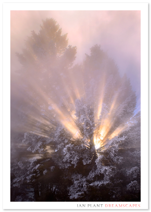 Winter's Magic