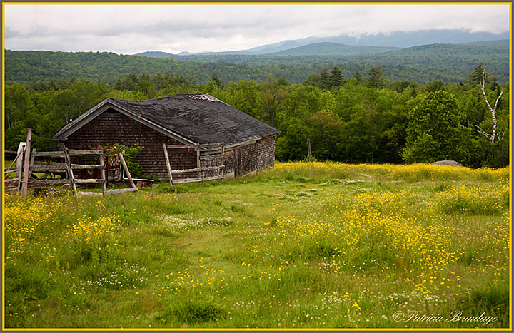 Spring in NH