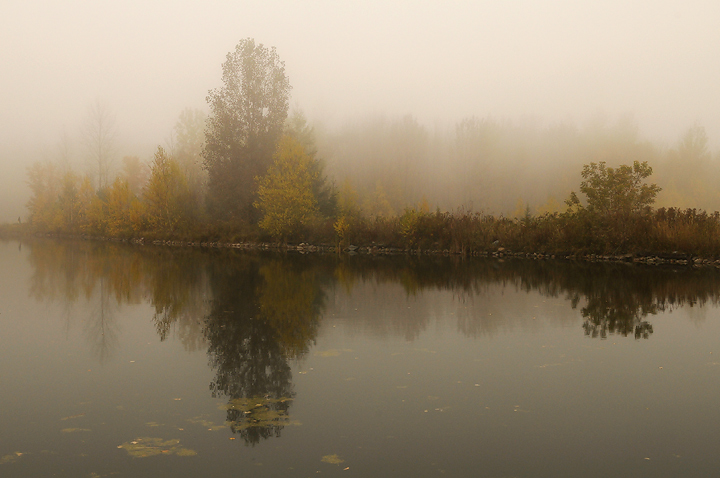 Tranquility and mist
