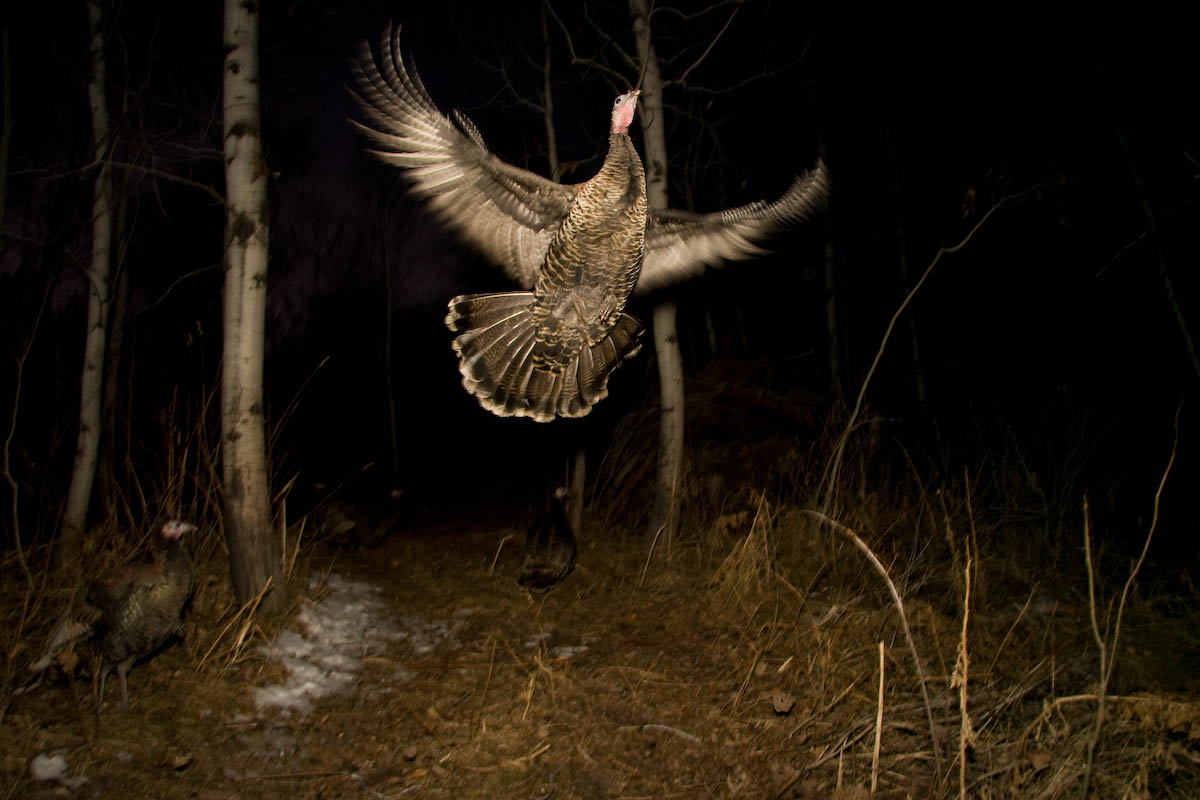 Lift Off