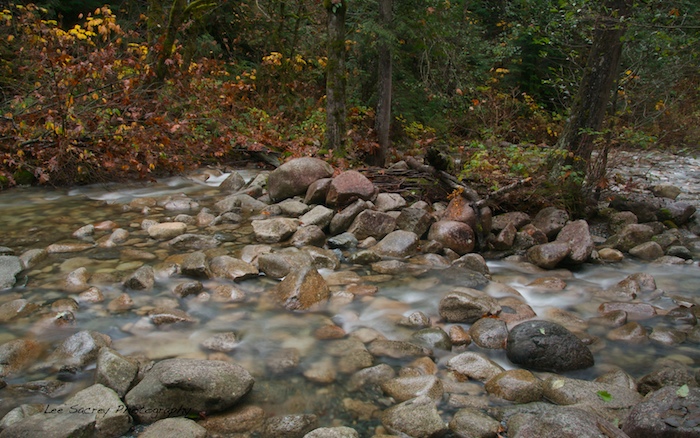 Below Shannon Falls
