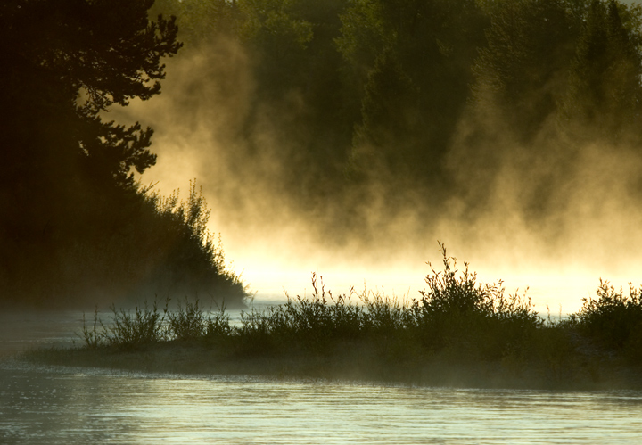 Dawn Mist