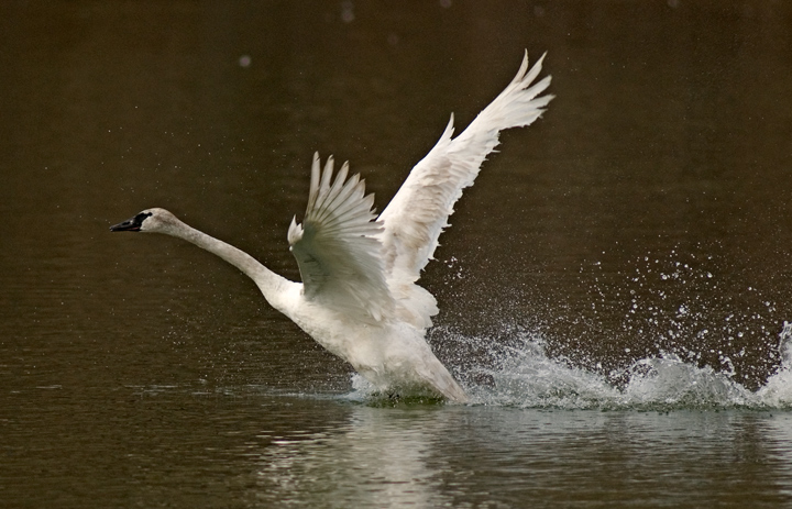 Takeoff