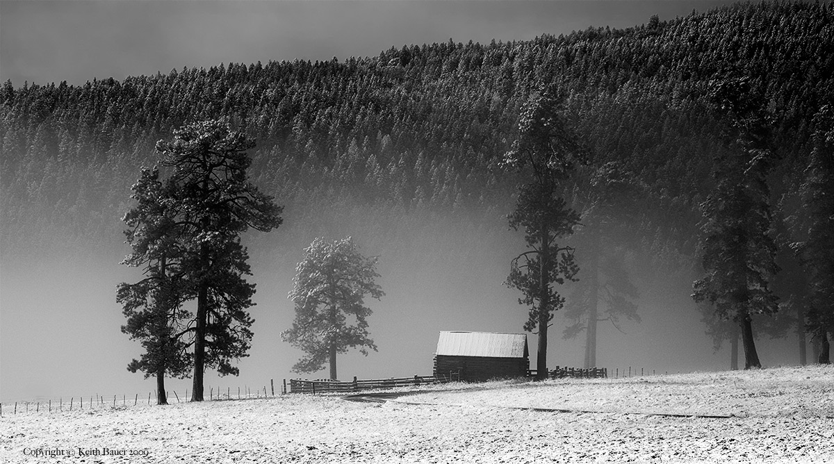 Valles Caldera Morning