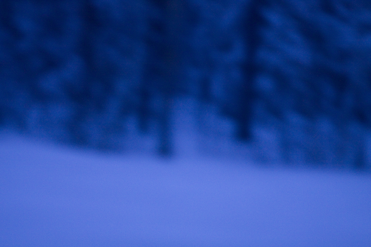 Winter's Night 