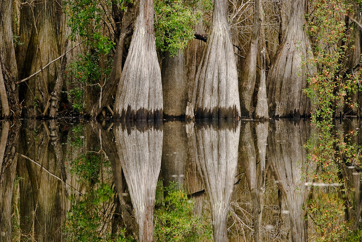 Not a Ripple - #410