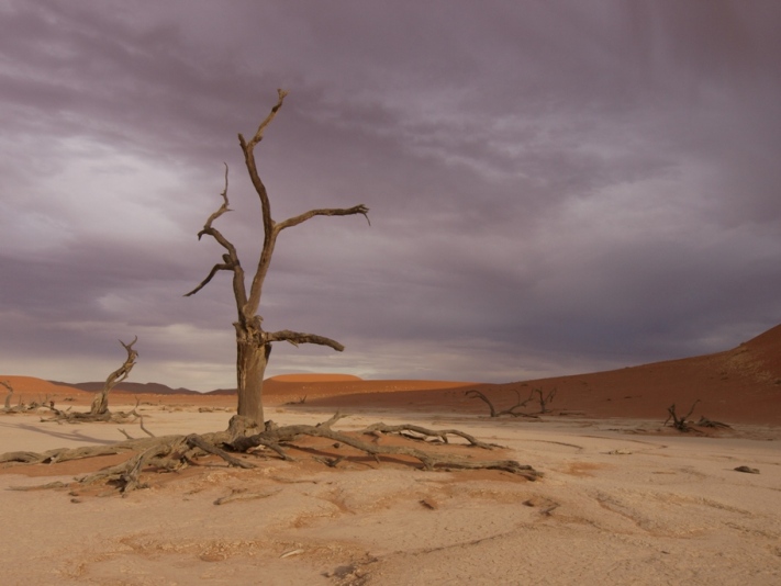 Thundercloud Dead Vlei
