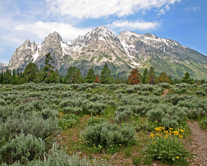 Summer at the Tetons