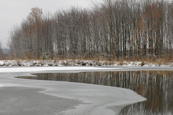 Winter Wonderland