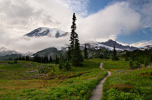 Trail To Rainier