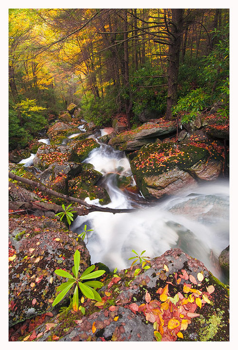 Looking Down Falls