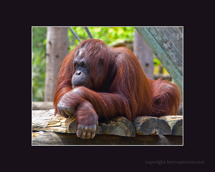 Just Thinking