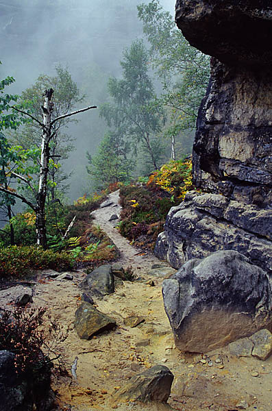 Mountain Trail