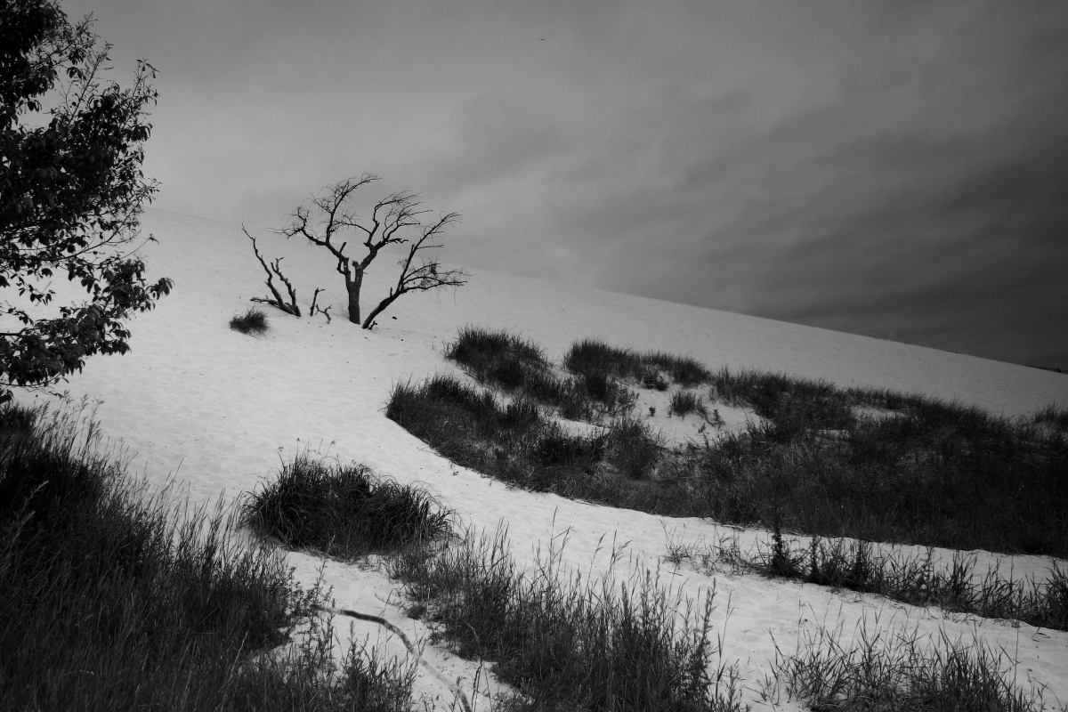 SLEEPY BEAR DUNES
