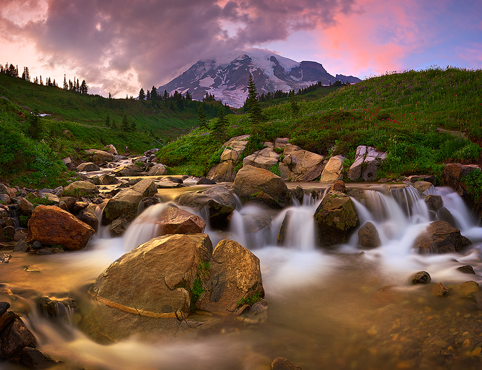 Crowning Splendor