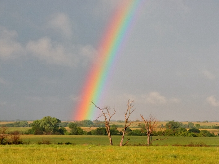 Kansas Rainbow