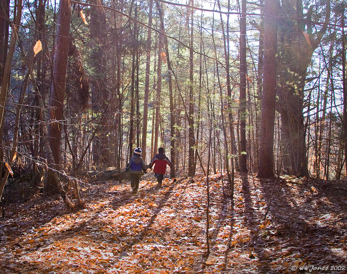 WC412: We Love the Woods
