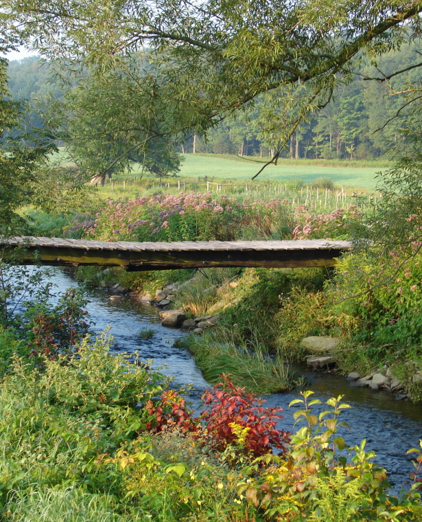 WC412 "The Foot Bridge"