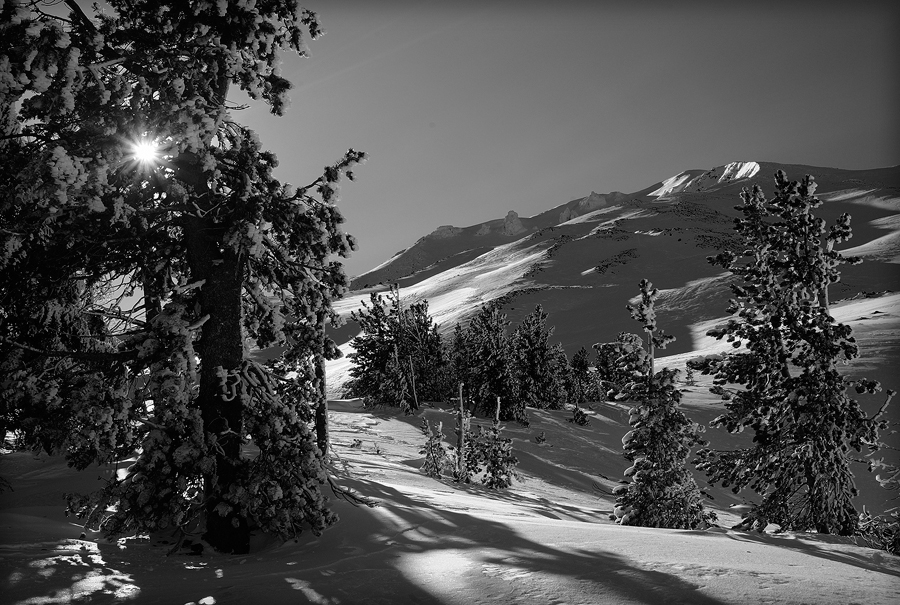 Winterland