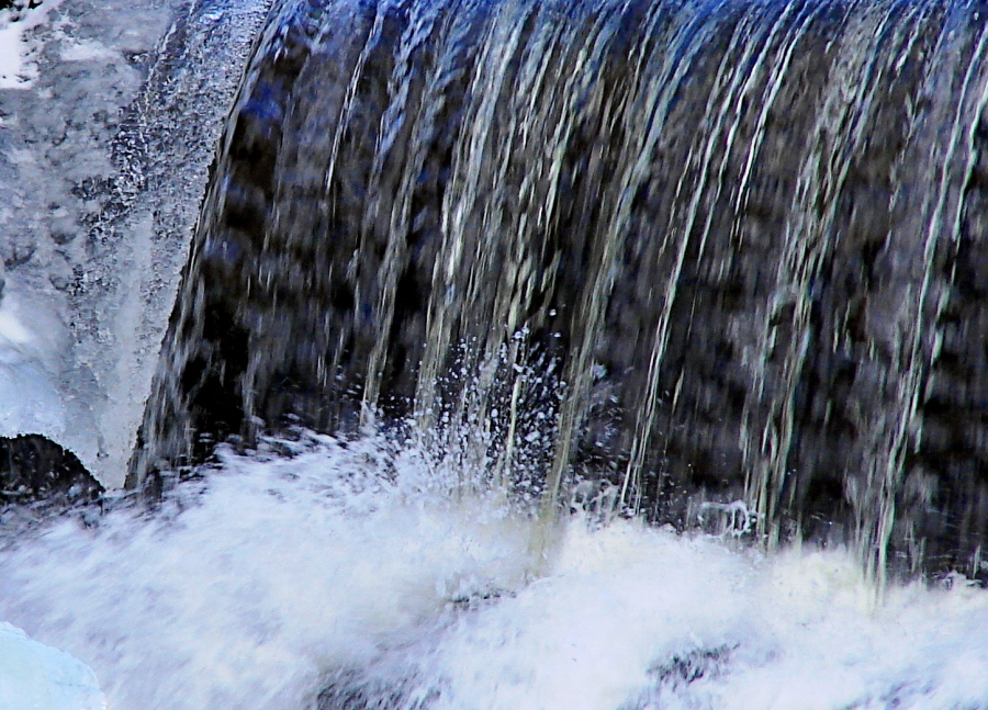Splish Splash