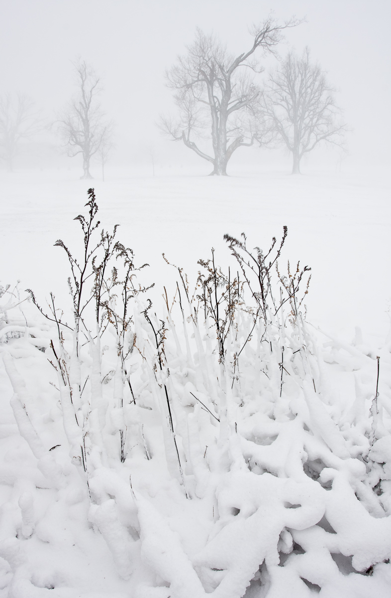 Wind Chill