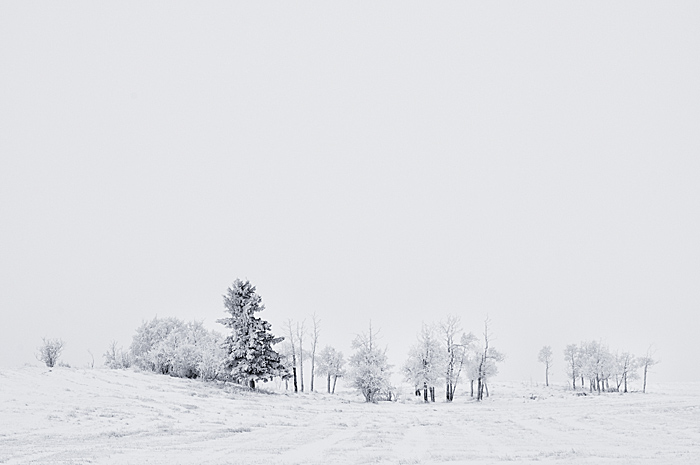 Winter Etching